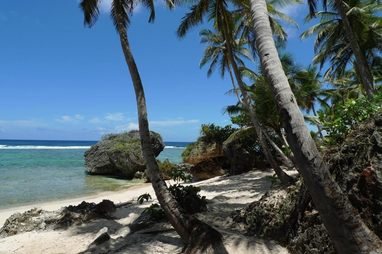 Apart-Hotel Garden Villa Las Galeras Exterior foto